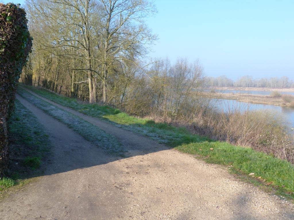 Les Gites De Colliers Muides-sur-Loire Rum bild