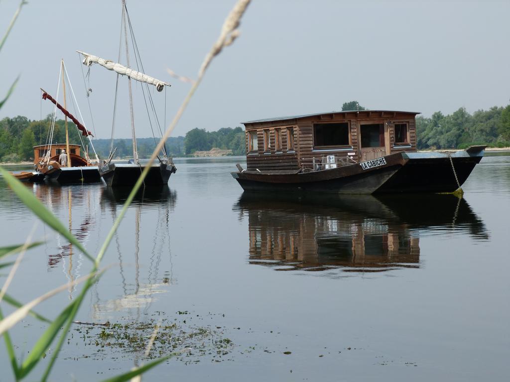 Les Gites De Colliers Muides-sur-Loire Exteriör bild